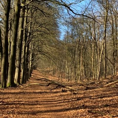 Soms rechts soms links. Uitgesproken mening, maar zeker ook in voor een discussie