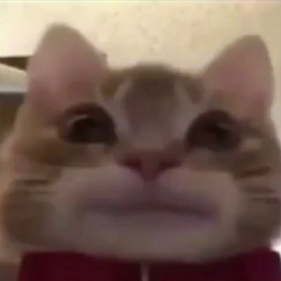 About to be the best meme page on Twitter. Follow me and stuff yknow. (DM SUBMISSIONS)