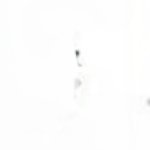 WilliamI_006's profile picture. I made this account in 2017 and never really used twitter