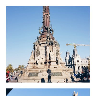 malteplayer's profile picture. 