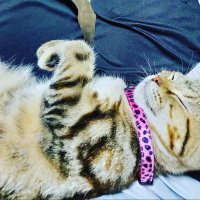 TOBI (@tobi17366855) 's Twitter Profile