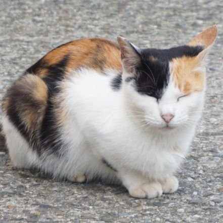 옫さんのプロフィール画像