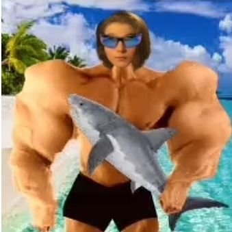 SpookyChan10's profile picture. I'm a gamer with Oceanic Squad! I have a bad KD in CoD and I'm a noob on apex.
Twitch: OS_Spooky_Chan
Instagram: OS_Spooky_Chan
Youtube: Spooky Chan