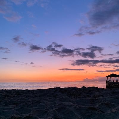 drownalison's profile picture. 🌻 || + || blm || 🇺🇦 слава Українi! (she/her)