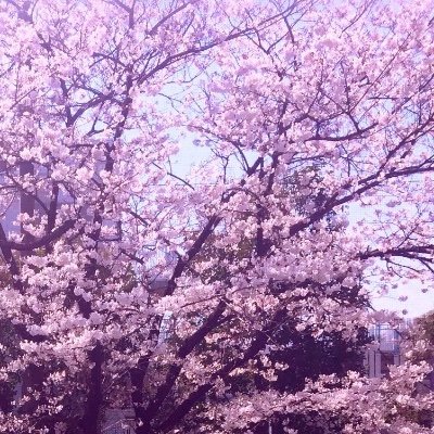 りーさんさんのプロフィール画像