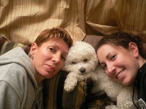 Dina352's profile picture. 