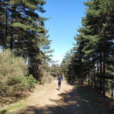 Ph.D. (Physiology)
Ph.D (Biomedicine)
Microbiome and Genetic
Nutritionist
Coach and professor
Athlete
PHYMOlab science https://t.co/g6KWt0zTjx