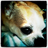 StinkyDingy's profile image