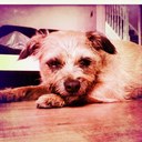 Warren Collier - @warrencollier - Twitter