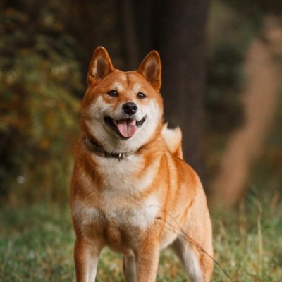 ling2281's profile picture. https://t.co/bKyCq7n7Zt