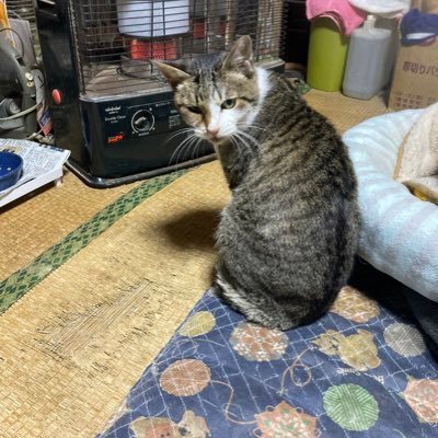 充血君さんのプロフィール画像