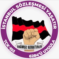 Bağımsız Karakterler(@Bagimsizkrktrlr) 's Twitter Profile Photo