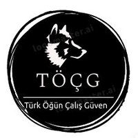 TÖÇG (@tg25952429) Twitter profile photo