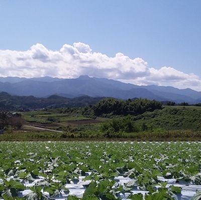 千葉県松戸市出身。2008年より群馬県富岡市で農業をしています。栽培品目はレタス、トウモロコシ、キャベツ等。二児の父。農作業中はFM群馬を聴いてます😀無言フォロー失礼致します。気軽にフォローしてください😄ホームページ作りました　https://t.co/ZIndnFjNRk