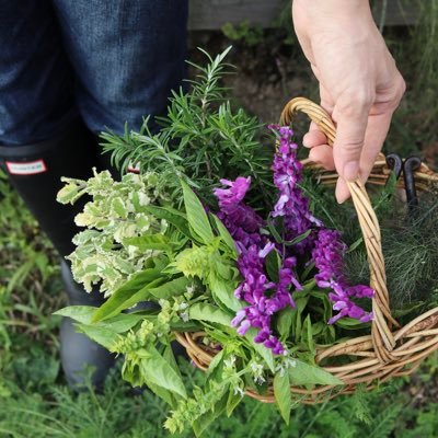 豊の国と呼ばれる大分県吉野の里山で農業🌱／🌖月のリズムに沿って、草や虫達と共生し持続可能な農法で和草ハーブを栽培／🌿和ハーブインストラクターとして日本の季節の野草料理、植物療法など植物との暮らしを研究✨／和草ハーブティーの『香月茶』🫖和草ハーブソルト『香月茶』🧂のご購入は↓のネットショップにてお求め頂けます