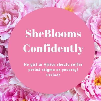 A social initiative focused on addressing and advocating for an end to period stigma and poverty especially for young girls and women in Africa.