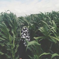 Seda 💫 (@sonbaharrengi) 's Twitter Profile Photo