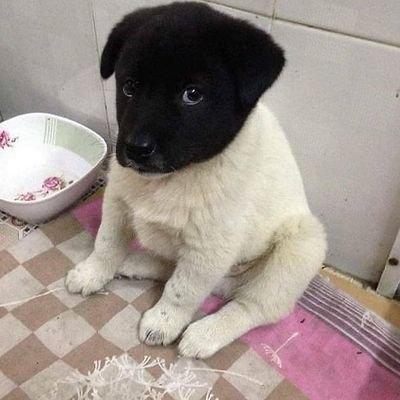 enriquepuerto26's profile picture. 