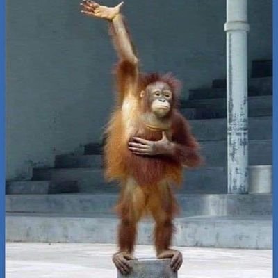 StephensonWilc1's profile picture. Time.  It is the ONLY true currency