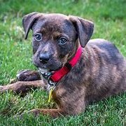 ninamom7's profile picture. https://t.co/p5epDDGSzy.Girls.Go!