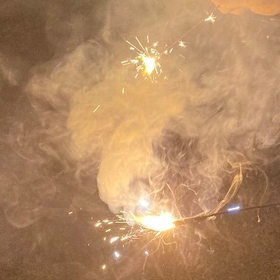ぬこさんのプロフィール画像