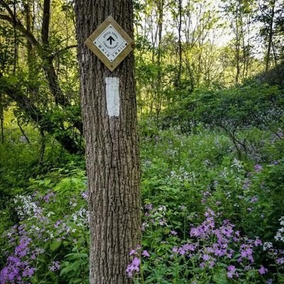 Official account for the Iroquoia Bruce Trail Club, exploring and protecting the Niagara Escarpment from Grimsby to Milton.
#HikeIBTC #BruceTrail