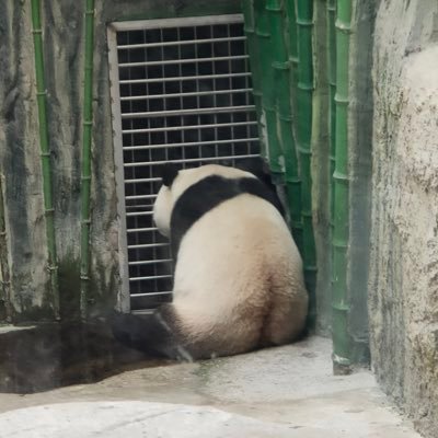 mmmmmm9631's profile picture. 自动化代码审计(sast)  软件成分分析(sca)
希望能给安全界做出点贡献