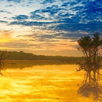 amr48's profile picture. Decepcionado de la política de mi VENEZUELA que ha sido desangrada y humillada por los que dicen defenderla