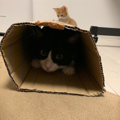 モンスト引退しますた(๑╹ω╹๑ )
