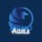 AnimoAguiIa's profile image