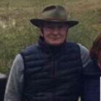 HL (@hl_lfc) 's Twitter Profile