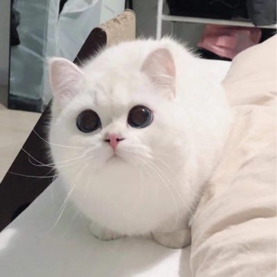 Tworedさんのプロフィール画像