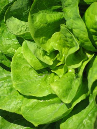 FoodSeguridad's profile picture. Canal dedicado a la #seguridad #alimentaria y, ahora también, a la #RSE en general y especialmente a la relacionada con los #productos #alimentarios