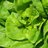 FoodSeguridad's profile image