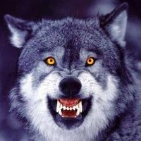 Ularis Badler (@ubadler) 's Twitter Profile