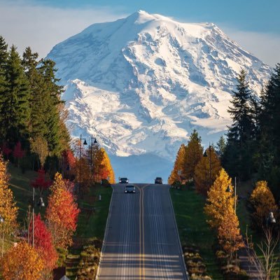 capjambeau's profile picture. / Gay / Army Veteran /