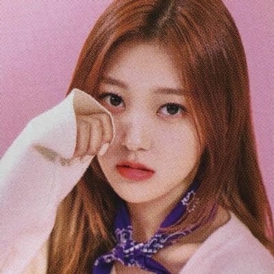 tiny_choerry's profile picture. for #최리 #CHOERRY 🦇