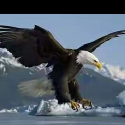 MAsadMahmood1's profile picture. #Patriotic #Pakistani, #InformationTechnology #Lahore, #PTI, 17th Apr