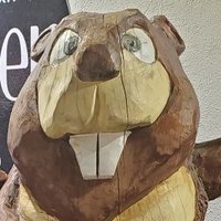 🦅❤🇺🇸 (@redstate2020) 's Twitter Profile