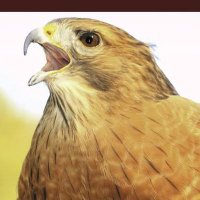 Khalid Inn (@khalidhoo) 's Twitter Profile