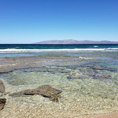 RamonFe38022664's profile picture. Me gusta disfrutar las cosas gratis de la naturaleza,como son los ríos , lagunas, bosques, no te cuesta nada y finalmente me relaja más que cualquier actividad.