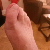 Peter (@peter86628983) 's Twitter Profile