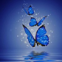 رونق (@ra_wn88) Twitter profile photo