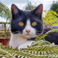 Ian Purser (@ip3329) Twitter profile photo