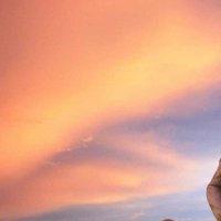 TheHumanTalks (@thehumantalks) 's Twitter Profile