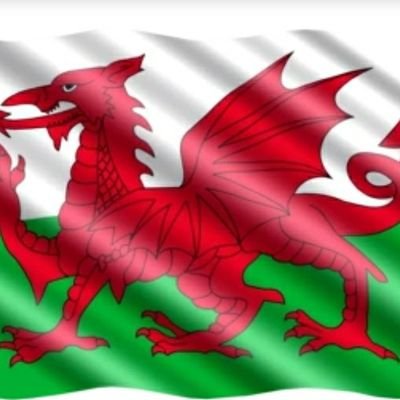 SLEEBOSS's profile picture. A Father, a tattoo canvas, a sports fan, a music fan, a movie fan, animal fan, Boxed-Set fan, laughing fan 
Swansea