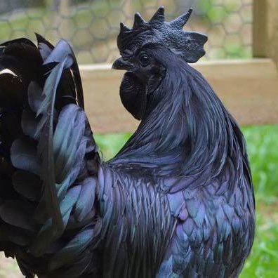 tole0403's profile picture. 