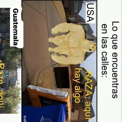 PatinetoJosue's profile picture. abogado y notario, diez años de experiencia. pase y consulte.