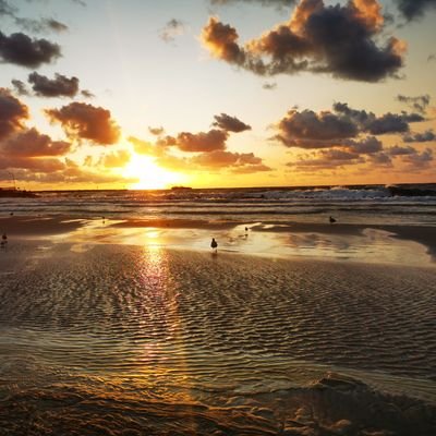 Prometeusz13's profile picture. 