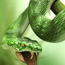 James Leaman - @genius9547 - Twitter